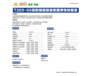 T200-60脂肪族聚脲面漆